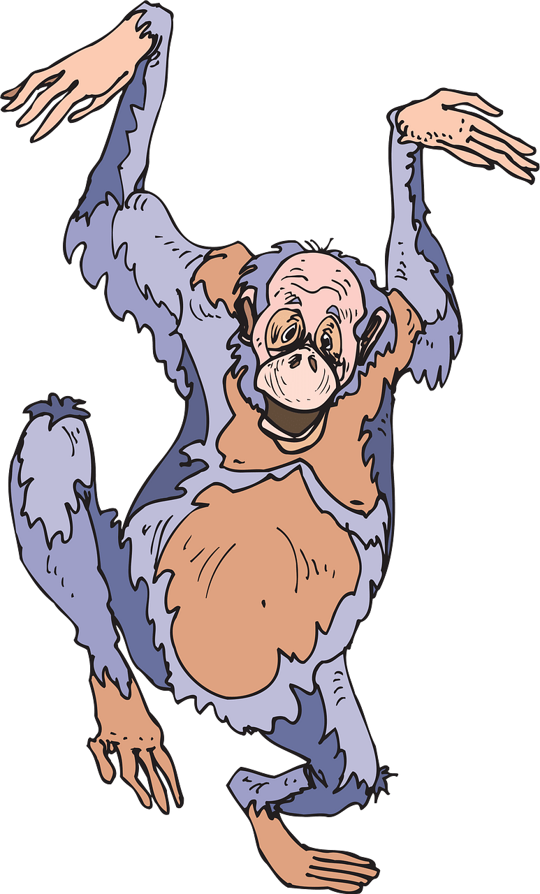 Chimp
