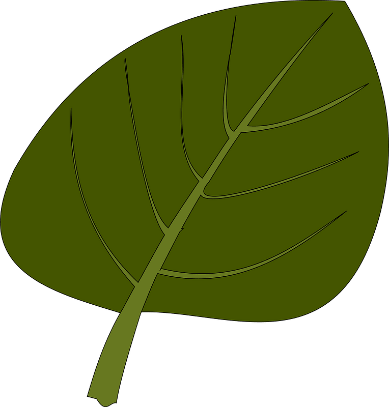 Leaf