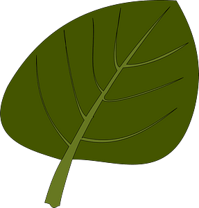 Leaf