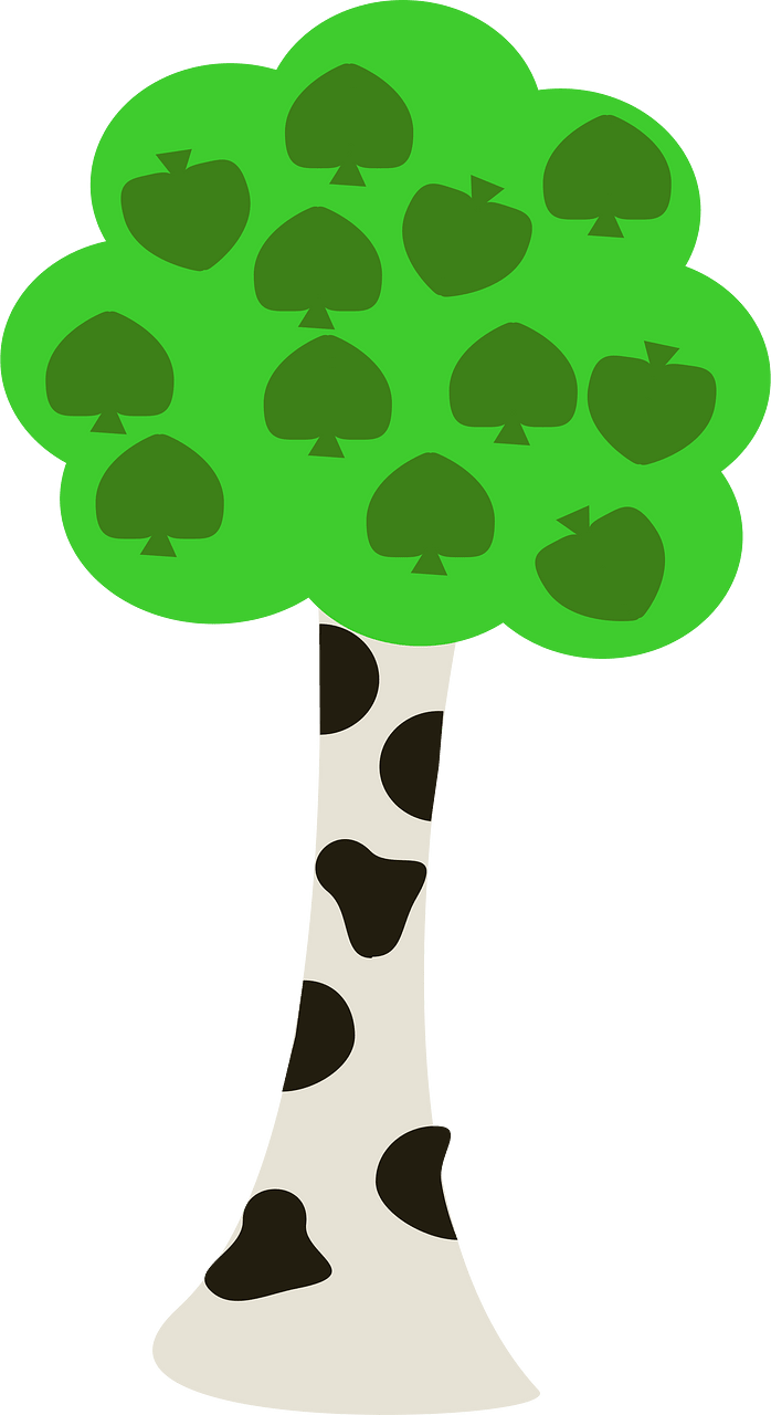Birch