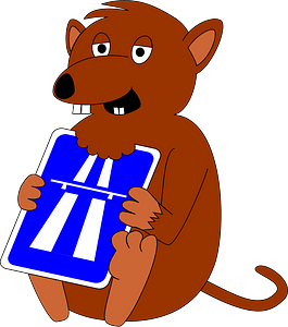 Rat