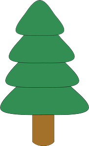 Fir