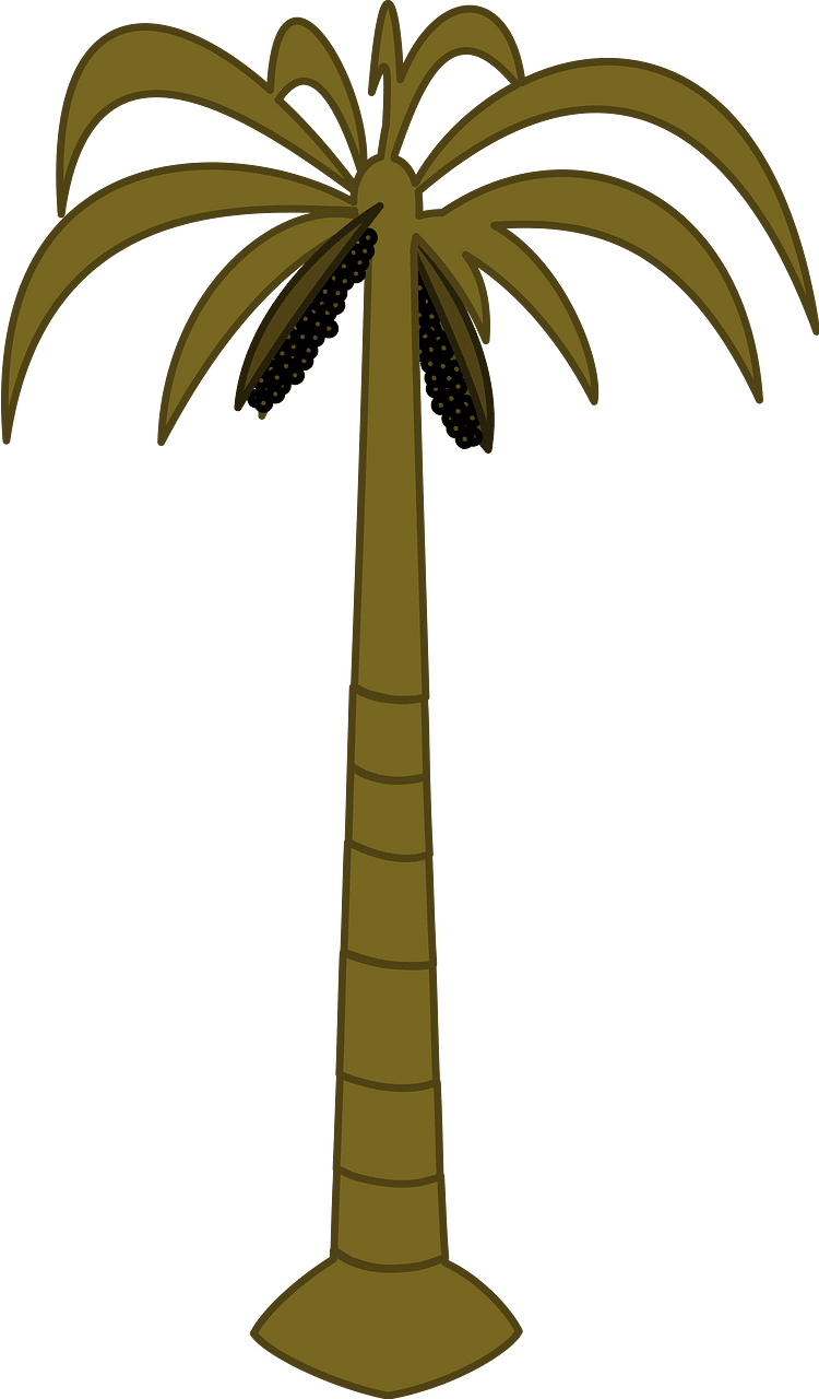 Palm
