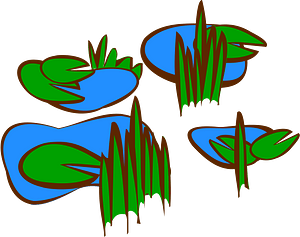 Lily pads