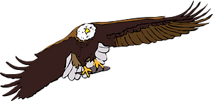 Eagle