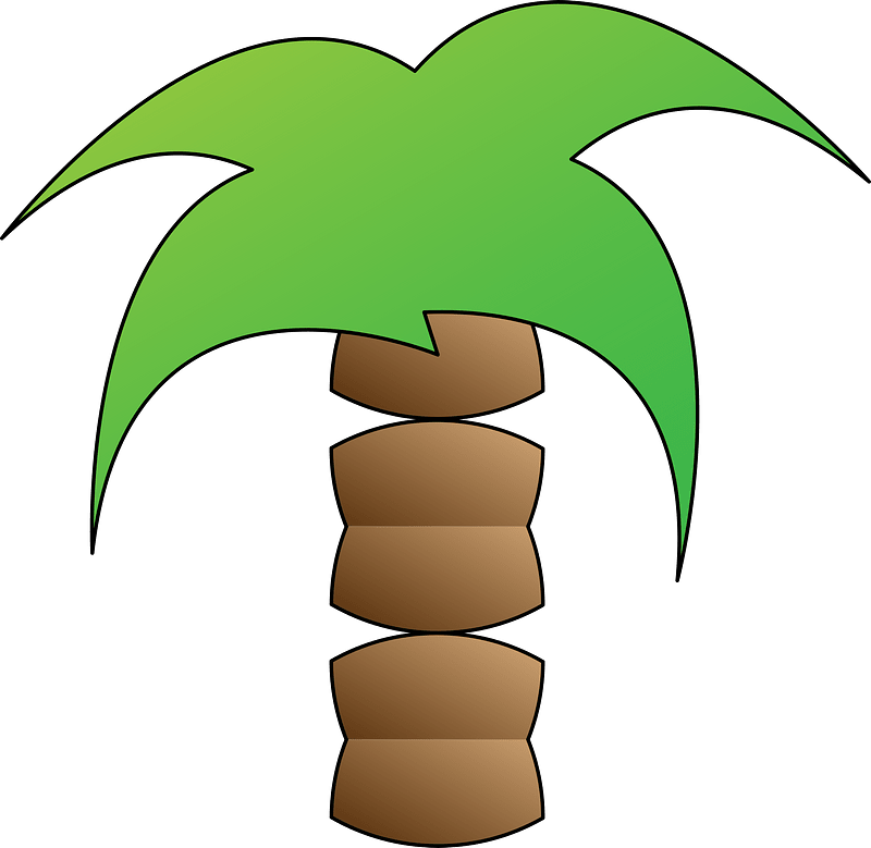 Palm