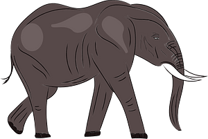 Olifant