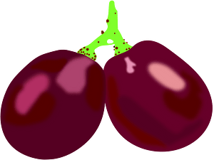 Raisin