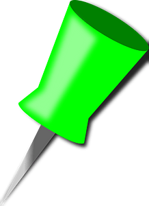 Pin