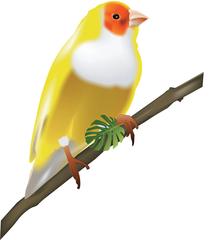Yellow bird