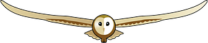 Barn owl