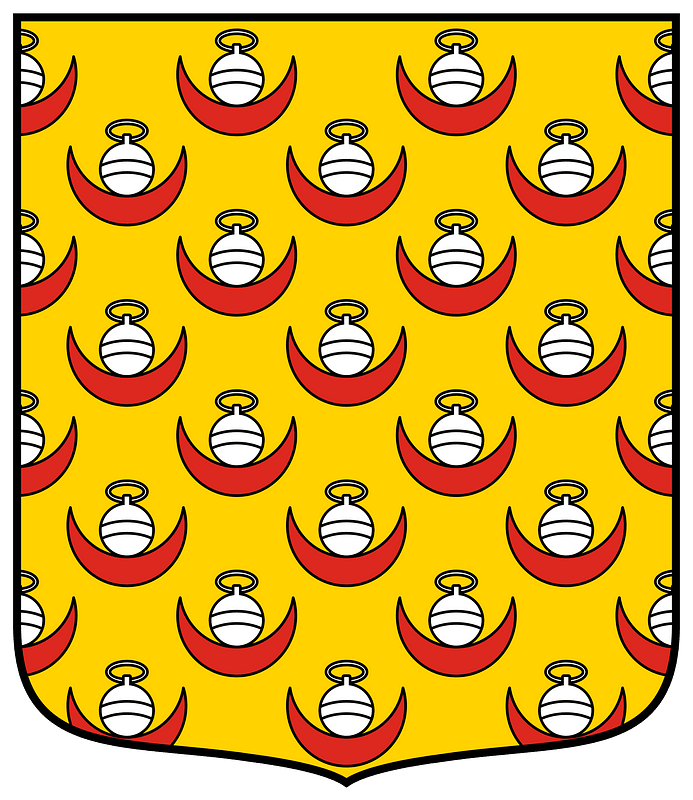 Coat of arms of France Town Anglure