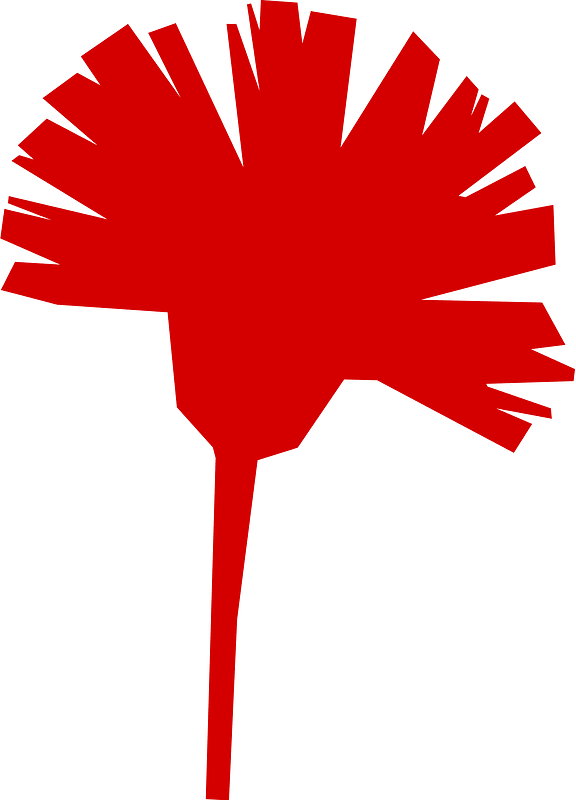 Carnation fully red icon