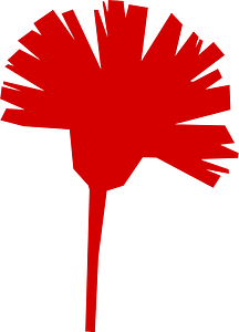 Carnation fully red icon