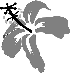 Hibiskus