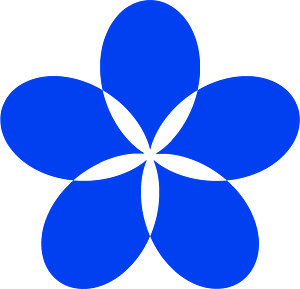 Mathematical polar equation flower