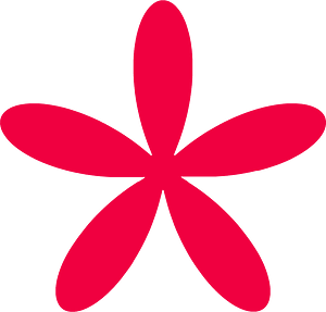 Mathematical polar equation flower