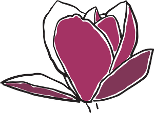 Pink magnolia