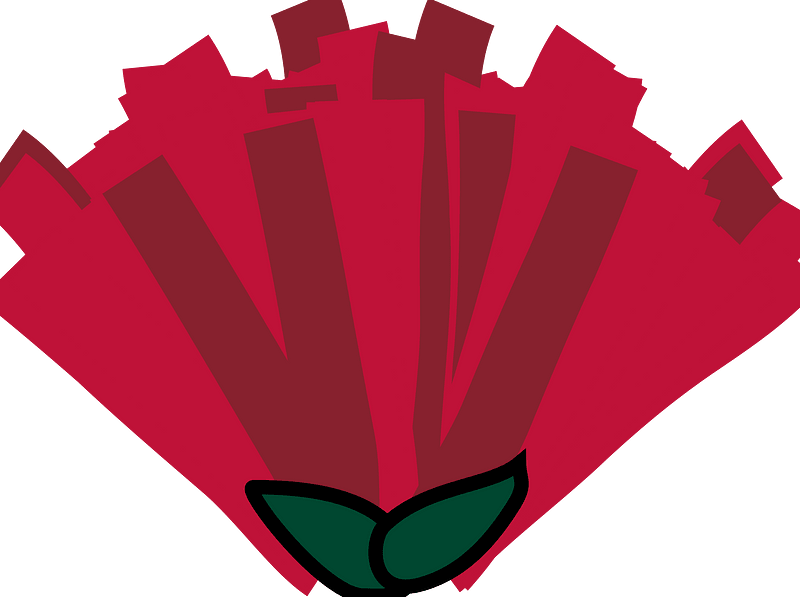 Pohutukawa flower