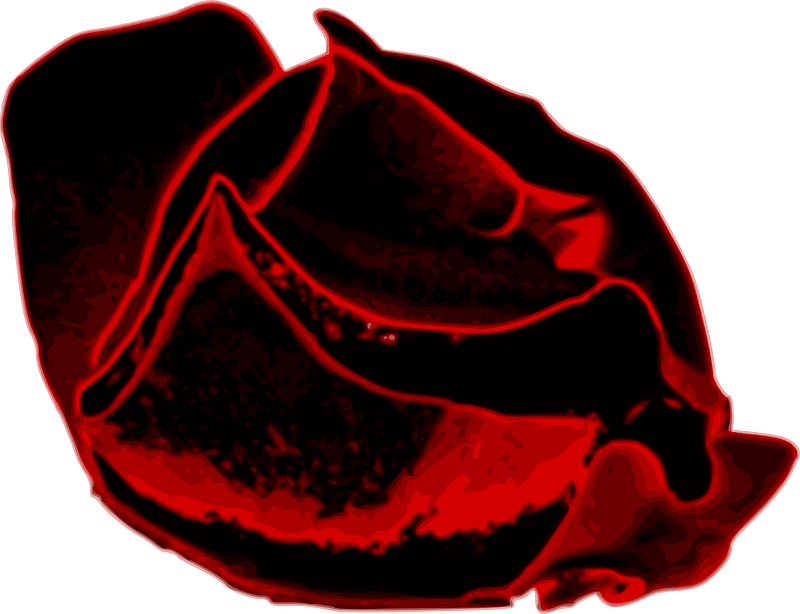 RoisinDubh