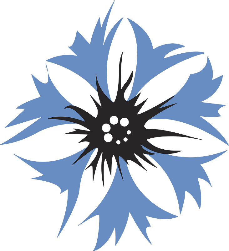 Steuben Parade Cornflower logo