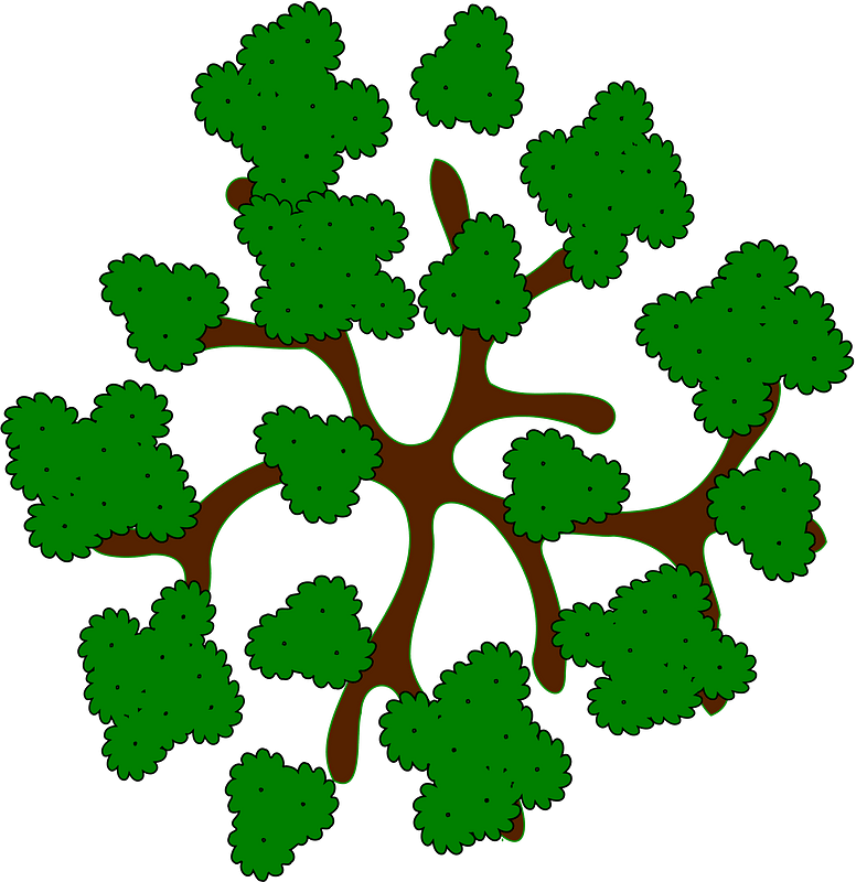 Tree branches with green leaves