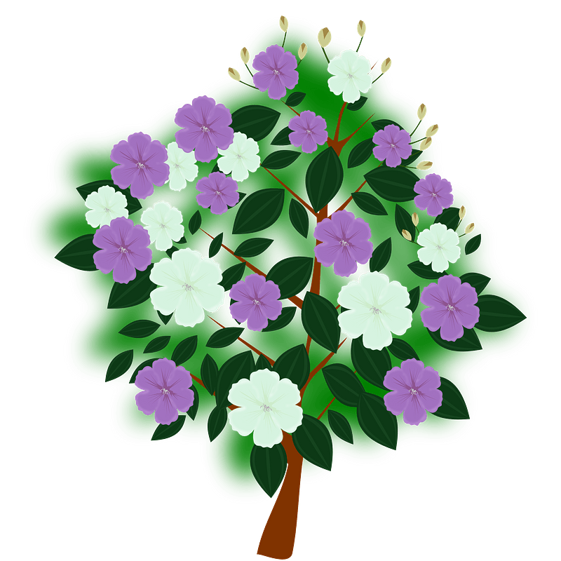 Tree with purple and white flowers