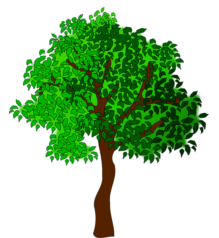 Green Tree with Leaves