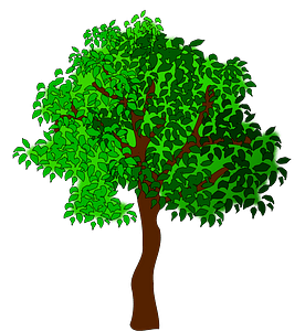 Green Tree with Leaves