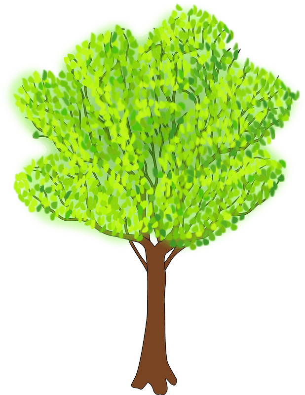 Bright Green Tree with Leaves