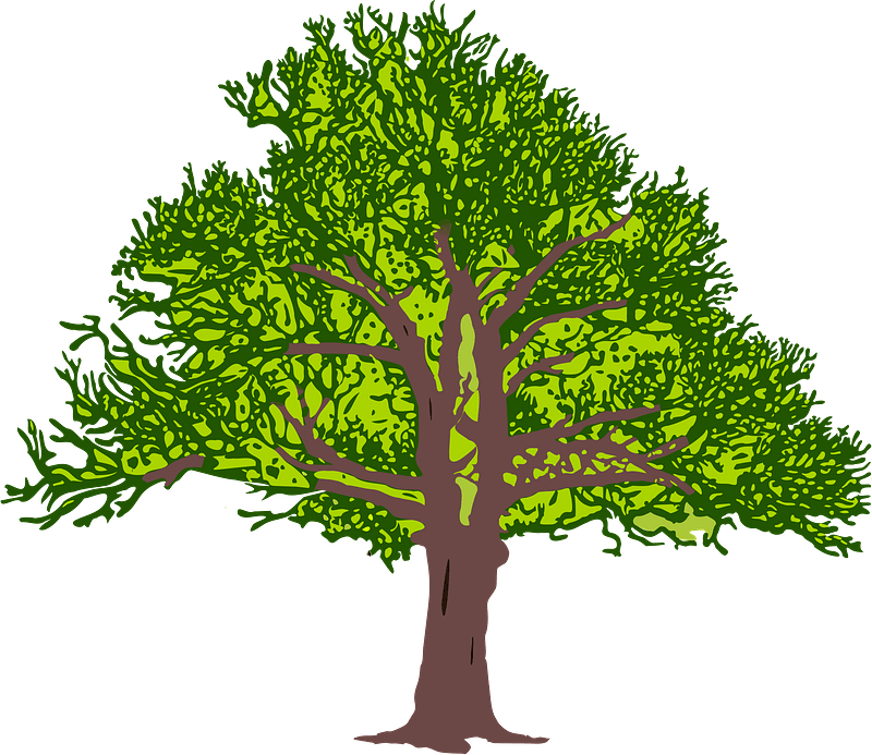 Green tree with Leaves