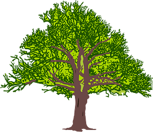 Green tree with Leaves