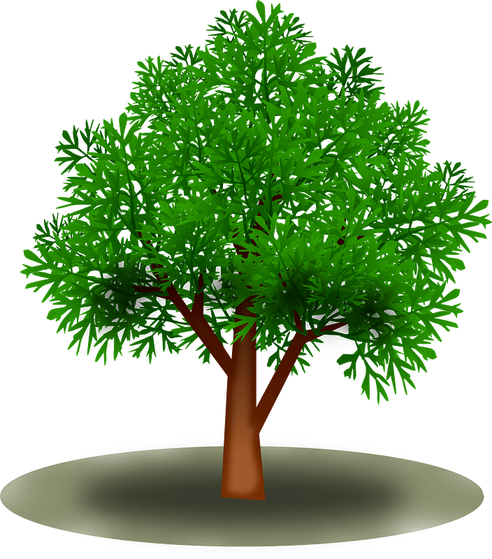 Green tree with Leaves