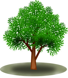 Green tree with Leaves