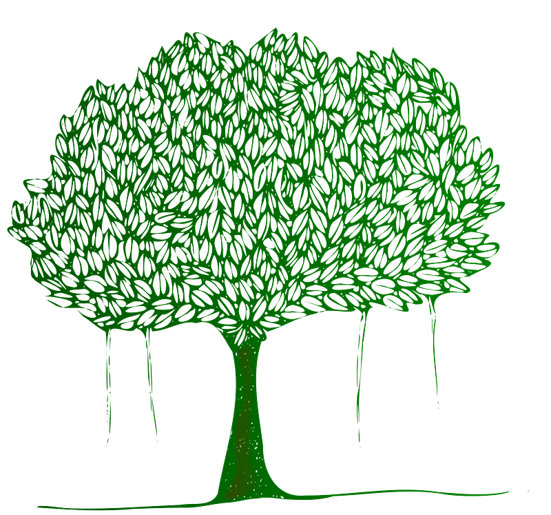 Tree with Leaves