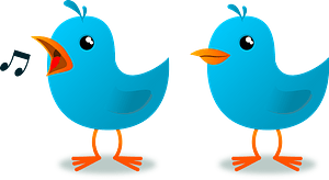 Two blue birds