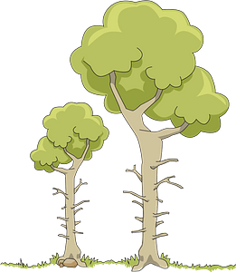 Two trees