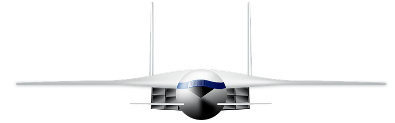 Stealth plane