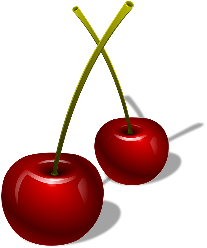 Two Cherries with Stems