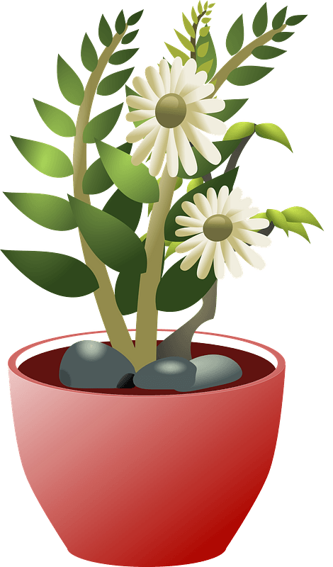 White flowers in a brown pot