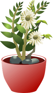White flowers in a brown pot