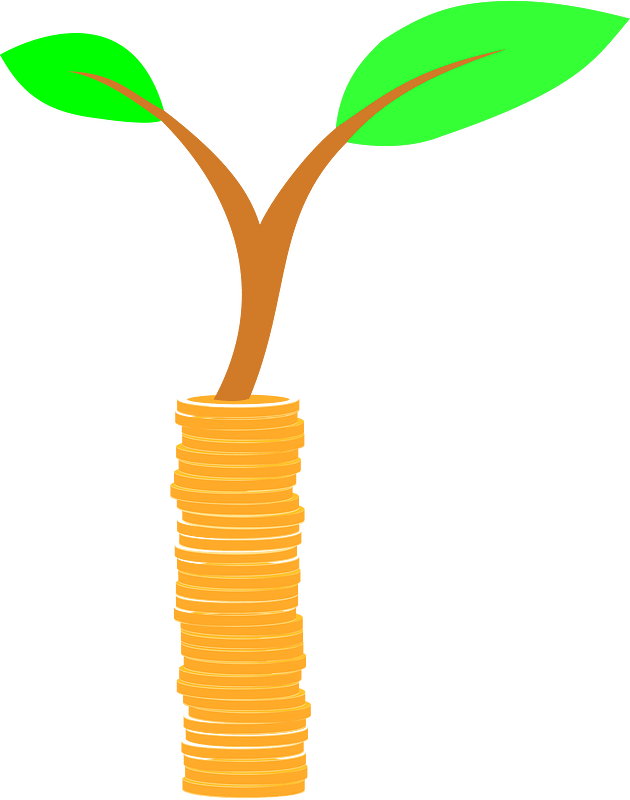 Tower of coins with plant