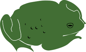 Toad by Rones