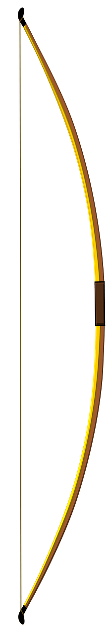Archer's bow