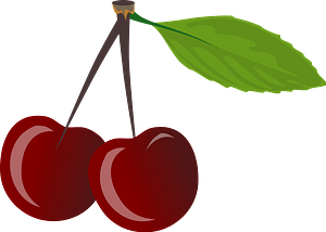 Two stemmed cherries