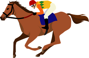 Horse Racing Jockey
