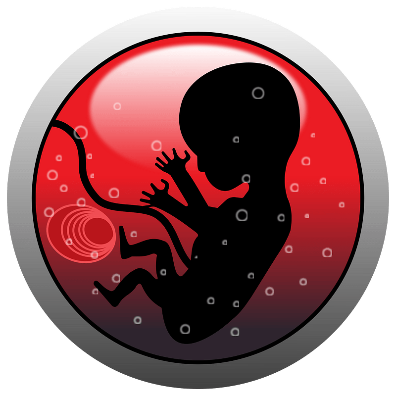 Human Embryo (Silhouette)