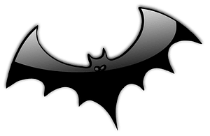 Bat