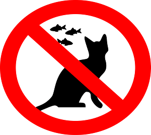 Do not feed cats