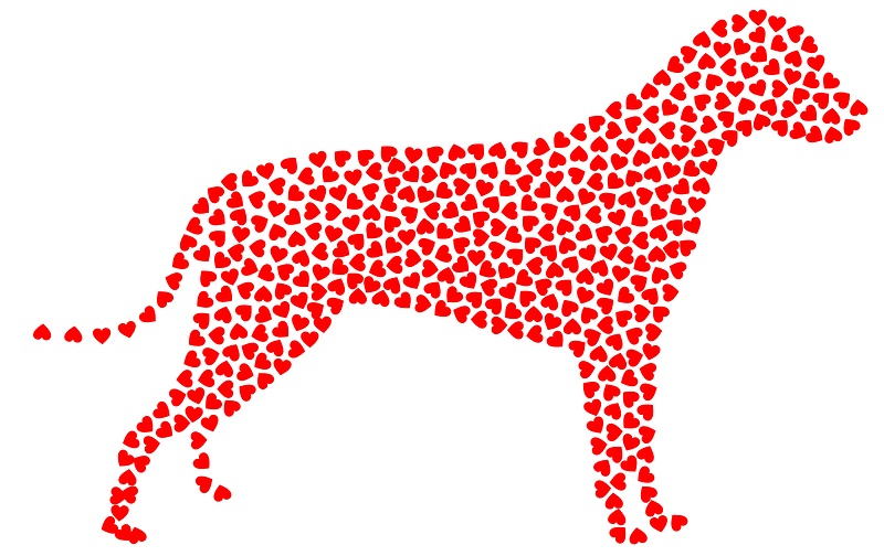 Dog Hearts